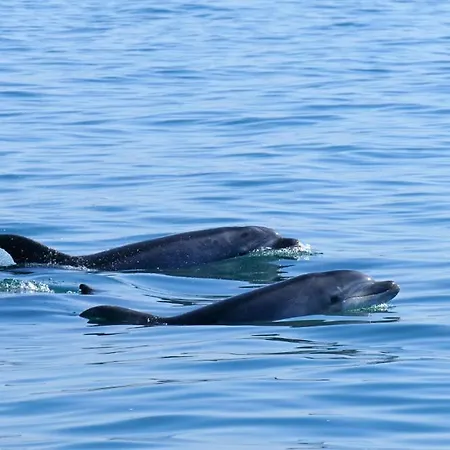 Lovers House Setúbal