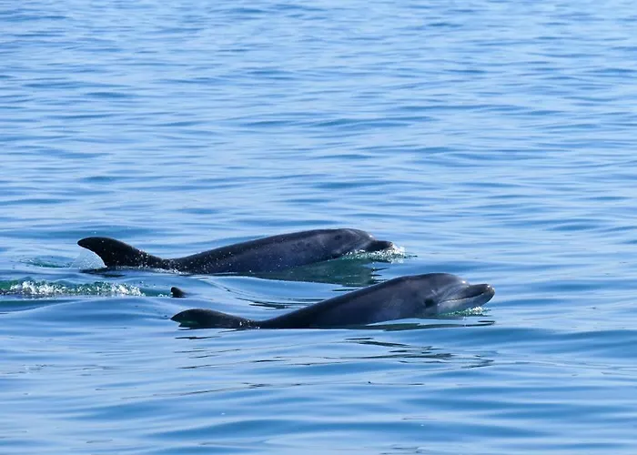 Lovers House Setúbal
